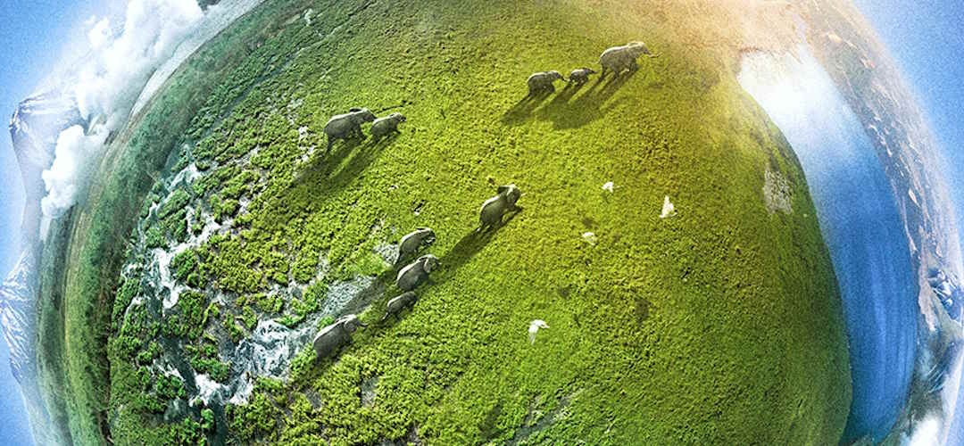 Hafta sonu film maratonu için belgesel önerileri - Planet Earth